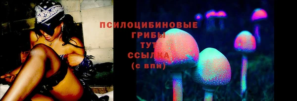 дурь Михайловск