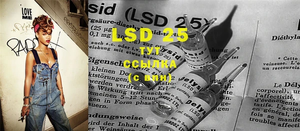 PSILOCYBIN Алапаевск
