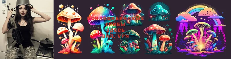 Псилоцибиновые грибы Cubensis  Сарапул 