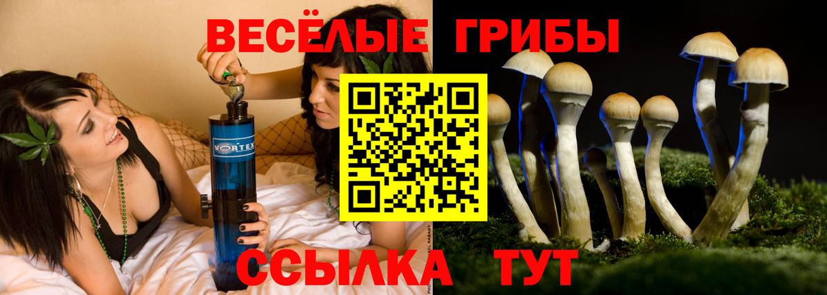 Галлюциногенные грибы MAGIC MUSHROOMS Сарапул